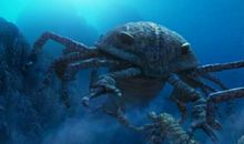 食物霸主争夺战