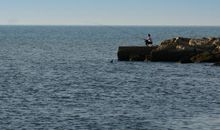 神秘的大海_350字