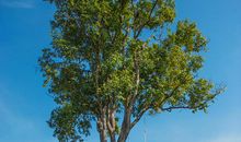 生活不是牧歌_800字