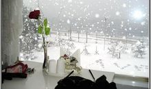 雪花漫天，我们乐悠悠_750字