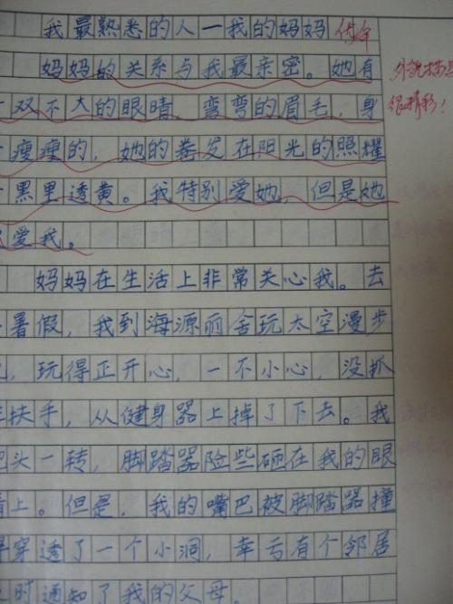 我想找到我的母亲_300字