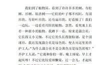 “开迪树”游玩_500字
