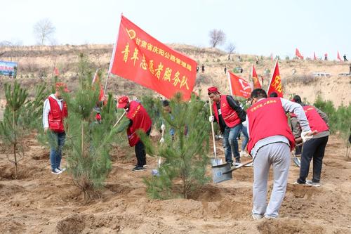 美丽的梦想_250字