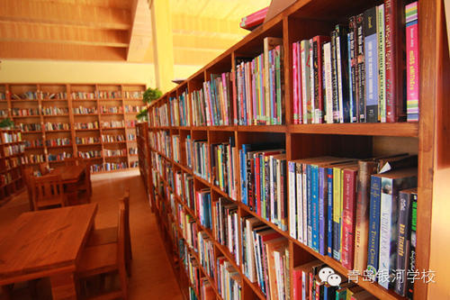 学校图书馆_250字