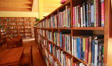 学校的图书馆_250字