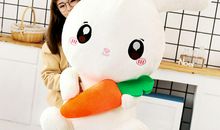 我的小白兔——小萝卜_300字