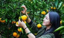 一段旅程 一段记忆_400字