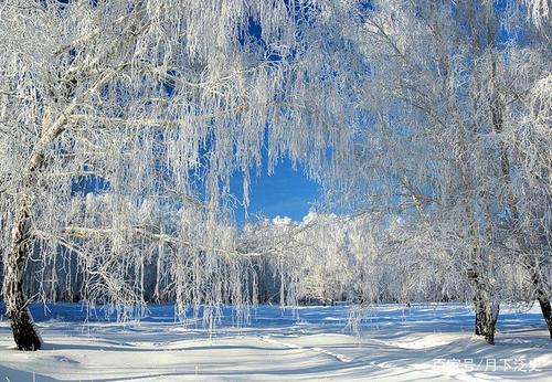 二年级叙事成分：雪乐趣_150字