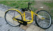 小黄车“跑”到了湖里_400字