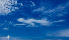 蓝色的天空_550字