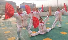 武术操大赛_300字