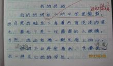 【三八节话题作文】献给妈妈_400字