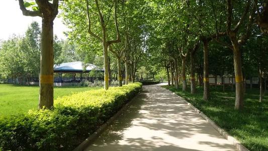 旅游石Park_200字