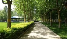 游石太公园_200字