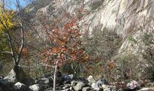 [2013暑假征文]我要“起义”！_900字