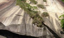 春游南岳山_250字