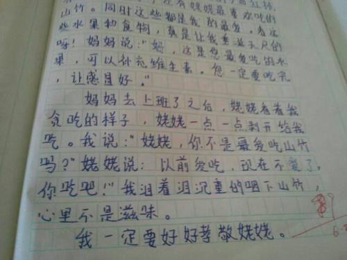 荣誉母亲_400字
