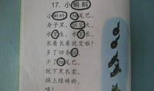 小蝌蚪_450字