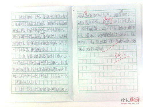 [2013年夏季论文]我的母亲_450字