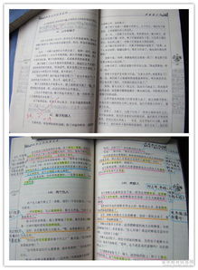 [读书]预订_300字