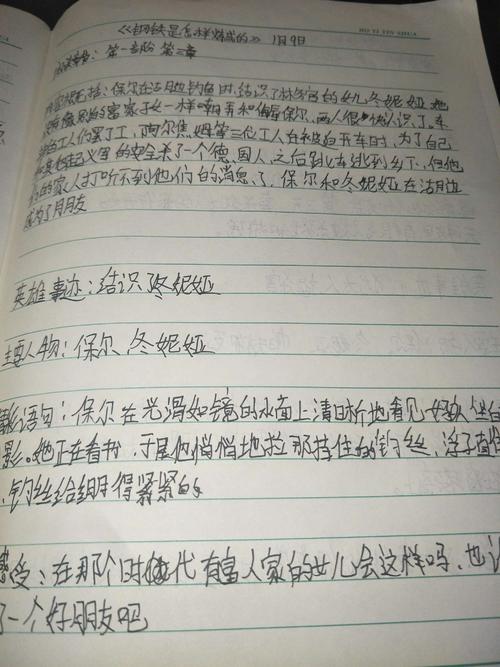 [阅读说明]摘录“如何改进钢铁”评论文章_550字