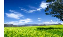 【读书札记】草原_900字