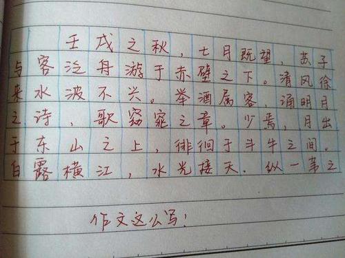我的高三十四_450字