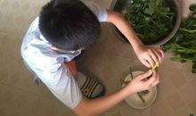 帮妈妈炒菜_150字