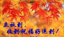 高兴的一天_450字