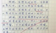 小学生作文套路多：8岁娃开头就写"在我的一生中"_1500字
