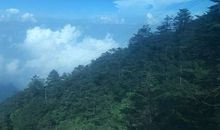 [2013暑假征文]峨眉山之旅_1500字