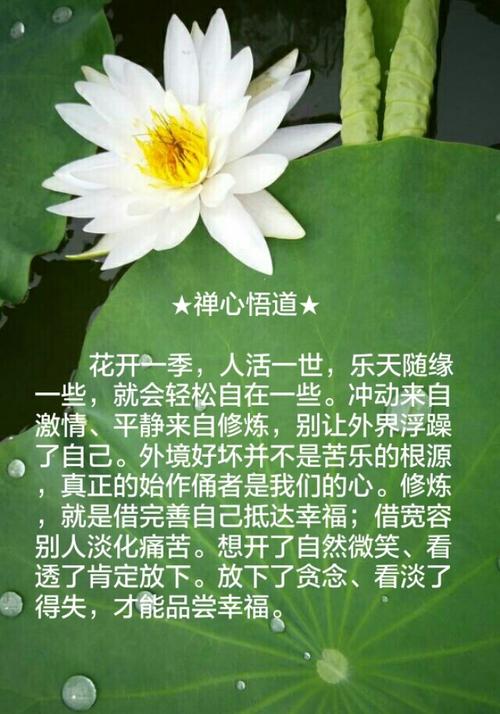 [2016年最终论文]痛苦_750字
