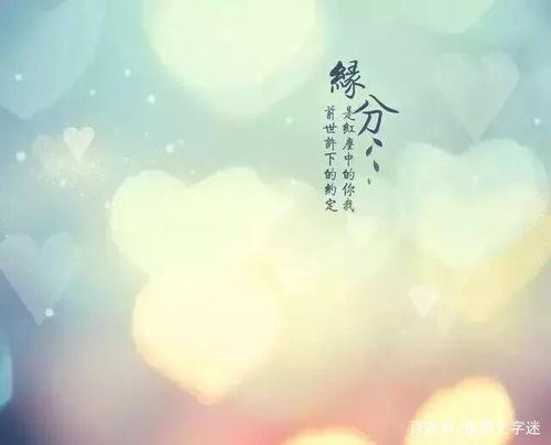 特别会议_300字