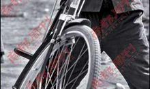 我的自行车_250字