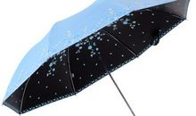 雨伞的作用真大_400字