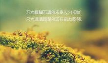 帮助别人是快乐的事_200字