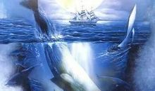 [2013暑期征文]读《海底两万里》有感_1200字