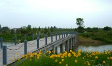 [2013暑期征文]游汉江湿地公园_1200字