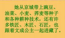 《文成公主进藏》续写_300字