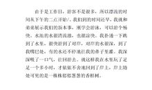 愉快的暑假_500字