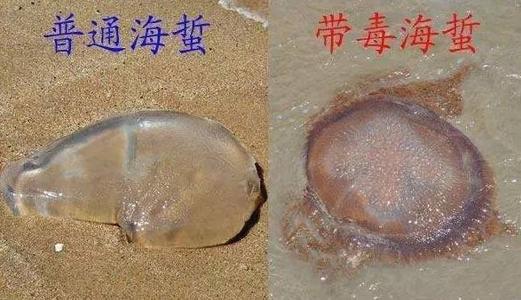 伤害_800字