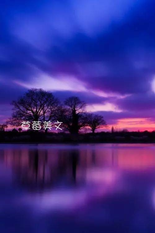 [2012年夏季论文]善良的魅力_800字