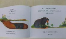 [2012暑期征文]看牙记_700字