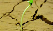 [2012暑期征文]生命的力量_500字