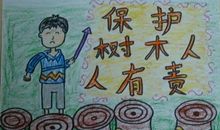 爱护小树_250字