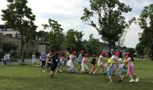 绿色有约夏令营