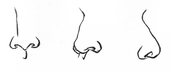 画鼻子_1500字