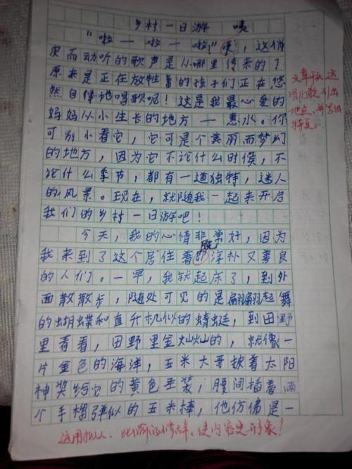 过了一会儿，我记得我不是一个小燕子，我正在看燕子。