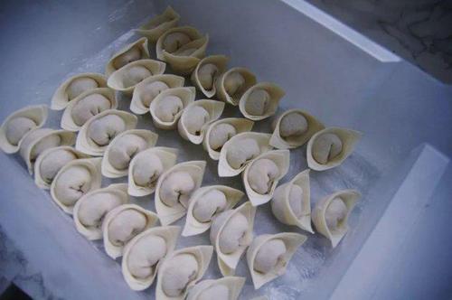[2013年夏季论文]是饺子引发的所有灾难