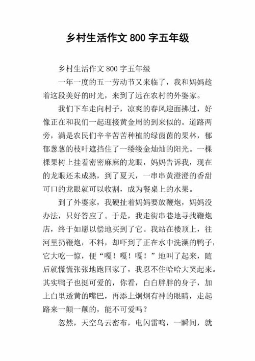 [2013年夏季论文]乡村生活体验_900字